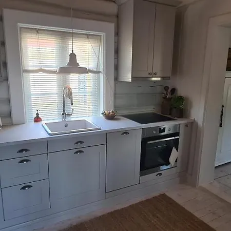 Appartement Sjarmerende, Sentralt Lite Byhus Kongsberg