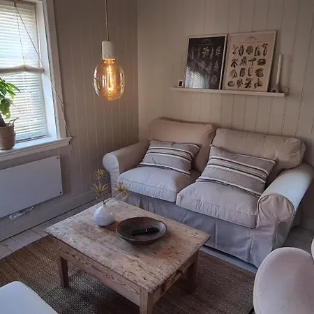 Sjarmerende, Sentralt Lite Byhus * Kongsberg